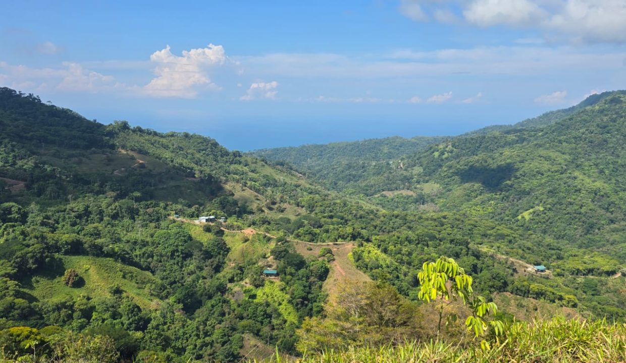 FINCA EN VENTA OSA COSTA RICA (5)