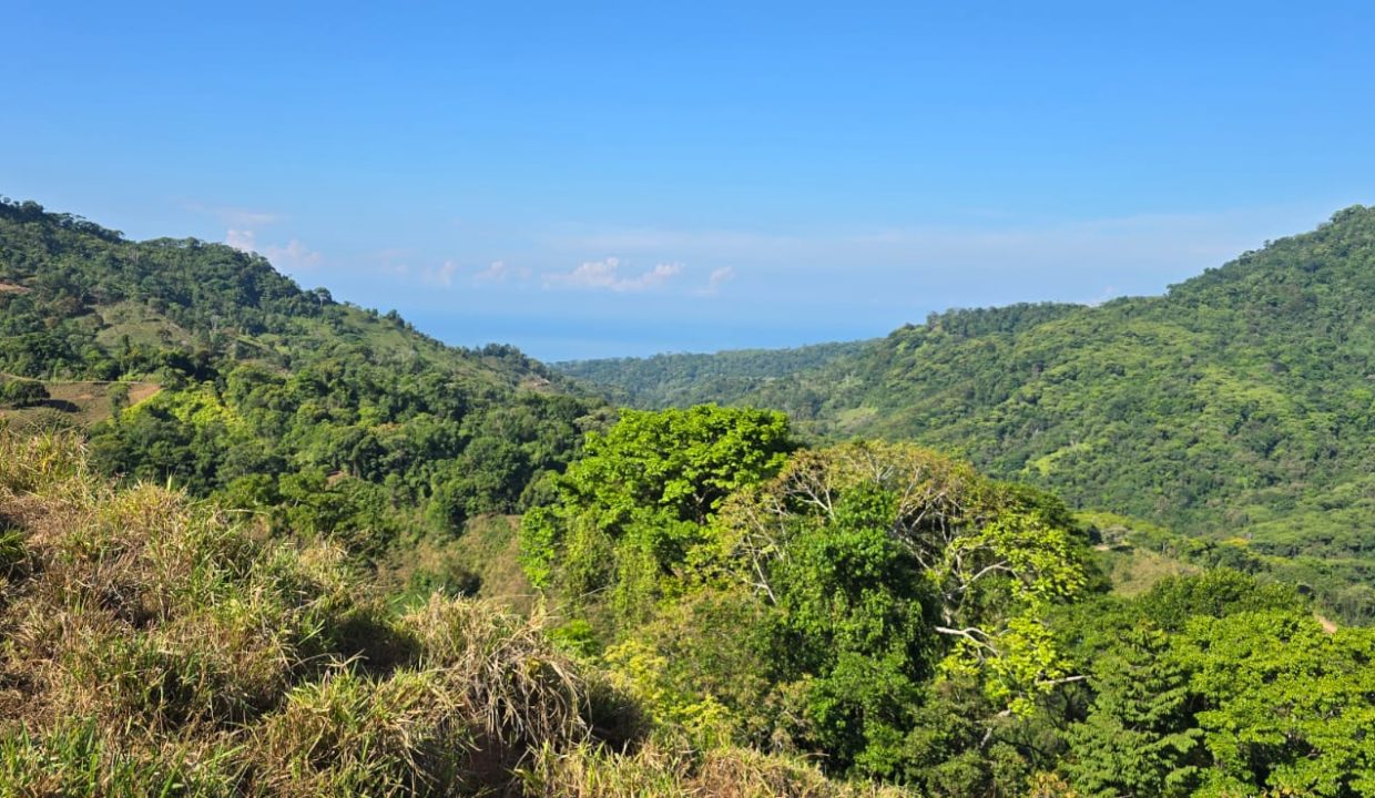 FINCA EN VENTA OSA COSTA RICA (7)