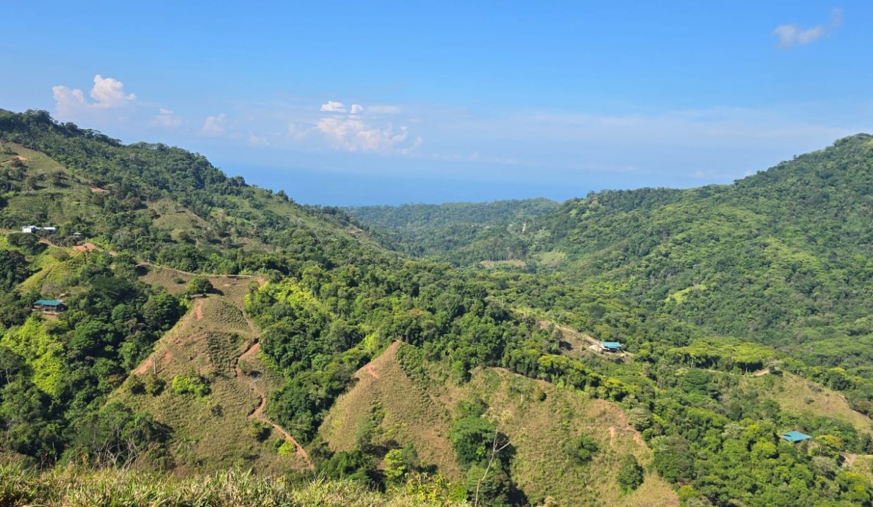 FINCA EN VENTA OSA COSTA RICA (8)