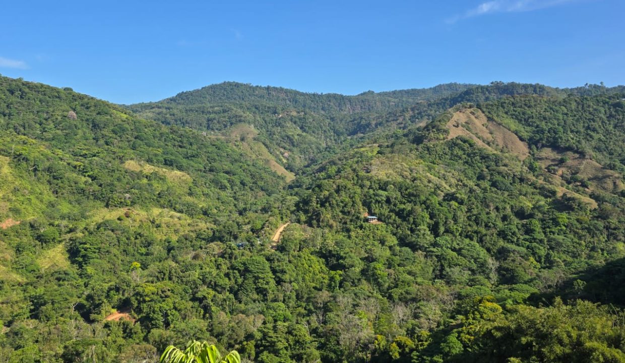 FINCA EN VENTA OSA COSTA RICA (9)