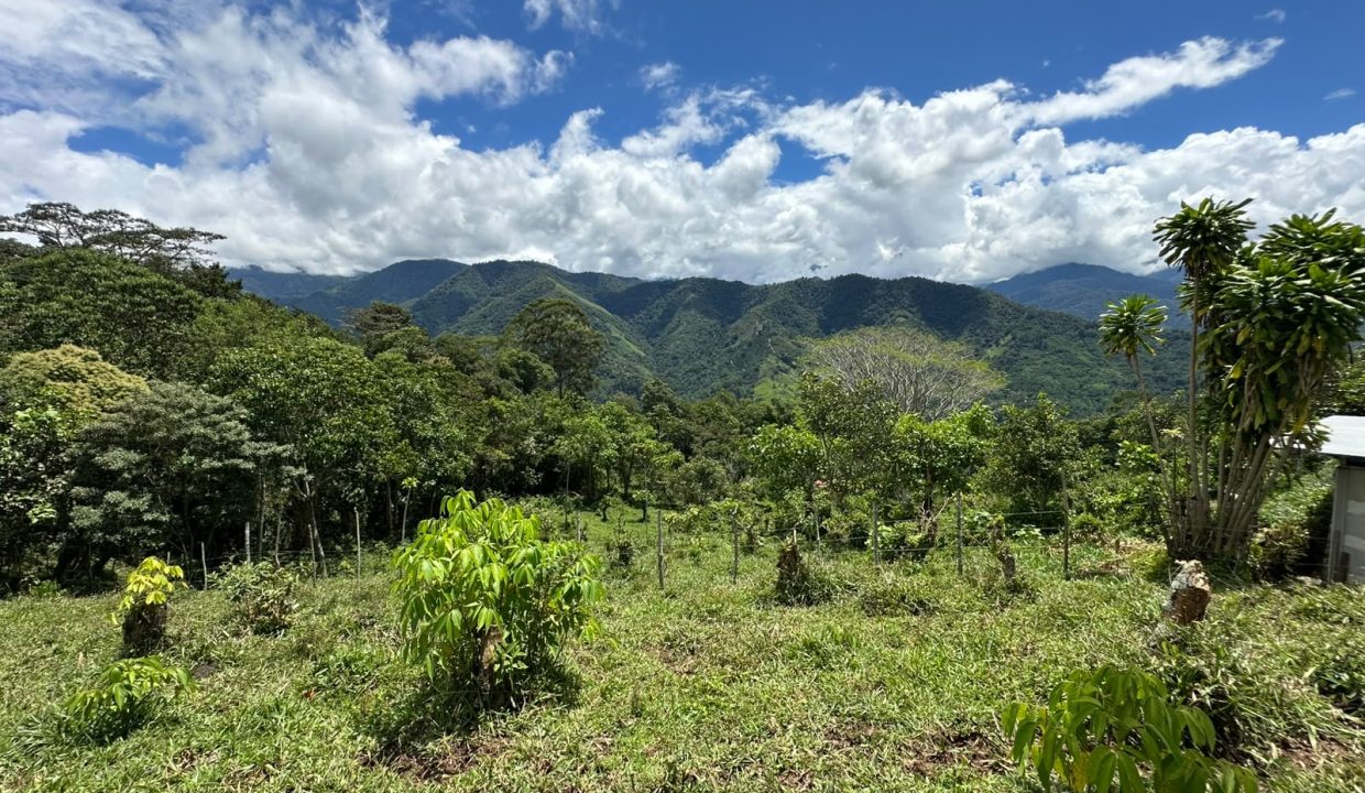Finca en venta en tirra rivas perez zeledon costa rica (0)