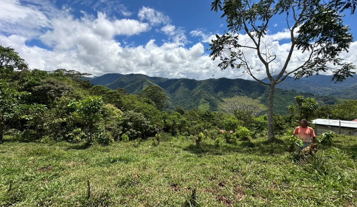 Finca en venta en tirra rivas perez zeledon costa rica (3)