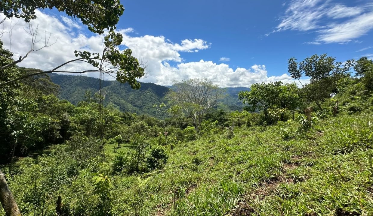 Finca en venta en tirra rivas perez zeledon costa rica (6)