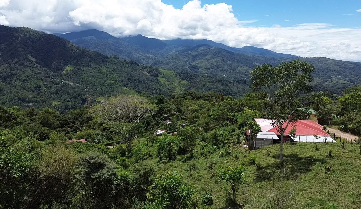 Finca en venta en tirra rivas perez zeledon costa rica (7)